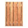 Douglas Schaaldelen Tuinpoort 130x195 cm | Stalen frame met slotkast | Verstelbaar