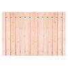 Douglas Dubbele Tuinpoort | Stalen frame met slotkast | 16x140 mm planken