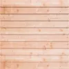 Tuinscherm Douglas Zweeds Rabat | Enkelzijdig | Blank