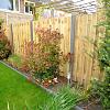 Tuinscherm Grenen 17 planks | Geschaafd | Verticaal | Recht