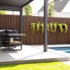 Composiet Rhombus Verticaal | Dark Brown | 52mm block