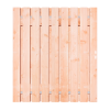Douglas Tuinpoort 160x195 cm | Stalen frame met slotkast | Verstelbaar | 15x140 mm | Fijnbezaagd