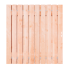 Douglas Tuinpoort 170x195 cm | Stalen frame met slotkast | Verstelbaar | 15x140 mm | Fijnbezaagd