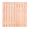 Douglas Tuinpoort 180x195 cm | Stalen frame met slotkast | Verstelbaar | 15x140 mm | Fijnbezaagd