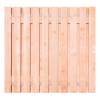 Douglas Tuinpoort 190x195 cm | Stalen frame met slotkast | Verstelbaar | 15x140 mm | Fijnbezaagd