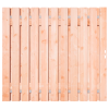 Douglas Tuinpoort 200x195 cm | Stalen frame met slotkast | Verstelbaar | 15x140 mm | Fijnbezaagd