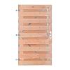 Douglas Horizontale Tuinpoort 100x180 cm | geschaafd 16x140 mm | 19-planks model
