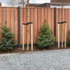 Tuinscherm Keruing 21 planks 180x180 cm BxH | Geschaafd | Verticaal | Recht