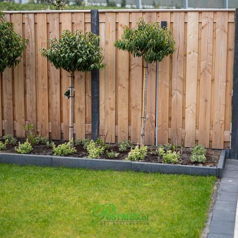 Tuinscherm Douglas 21 planks | Geschaafd | Verticaal | Recht
