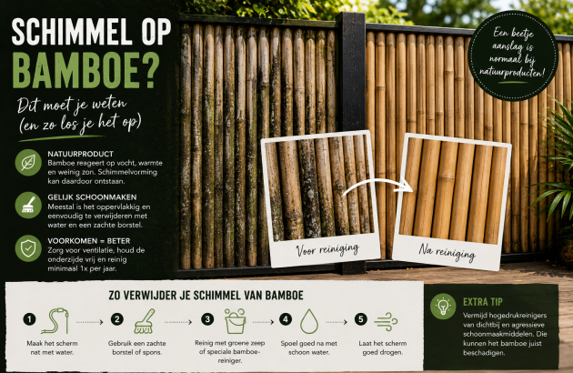 bamboe schimmel