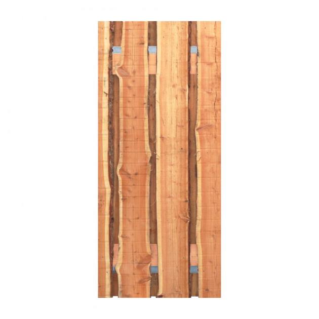 Douglas Schaaldelen Tuinpoort 85x195 cm | Stalen frame met slotkast | Verstelbaar