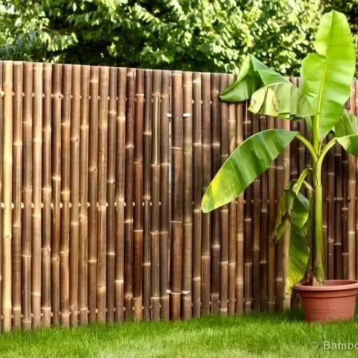 Bamboe Tuinscherm XL | Black | 180x180 cm