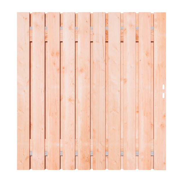 Douglas Tuinpoort 170x195 cm | Stalen frame met slotkast | Verstelbaar | 15x140 mm | Fijnbezaagd
