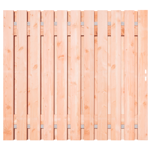 Douglas Tuinpoort 200x195 cm | Stalen frame met slotkast | Verstelbaar | 15x140 mm | Fijnbezaagd