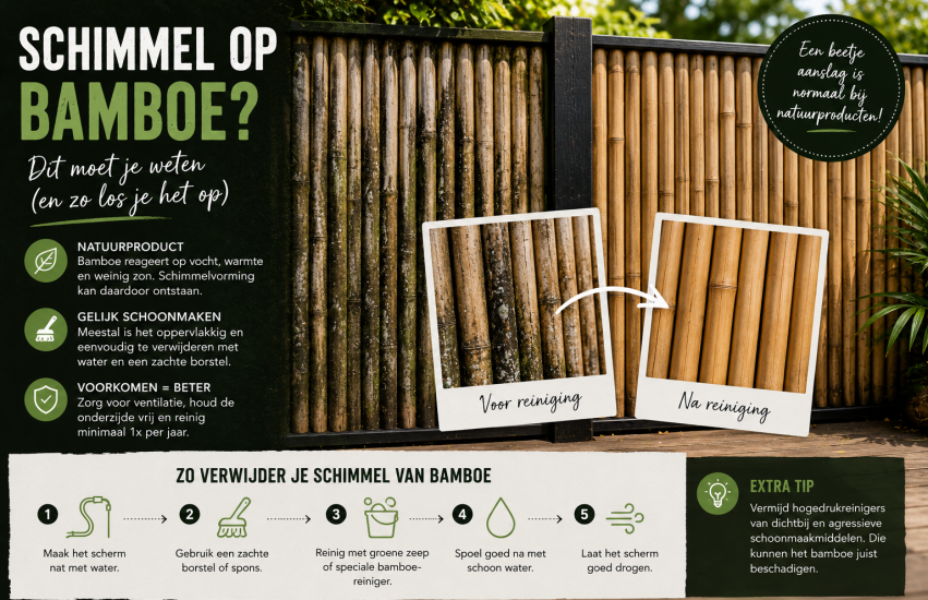 bamboe schimmel