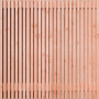 Tuinscherm Douglas Rhombus open | 51 planks | Geschaafd | Verticaal | Recht